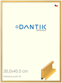 DANTIK rám na obraz 30x40 | ALU Dýha barevná žlutá (Plexi Čiré)