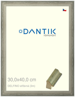 DANTIK rám na obraz 30x40 | DELFINO stříbrná (Plexi Čiré)