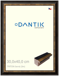 DANTIK rám na obraz 30x40 | TRITON černá (Plexi Čiré)