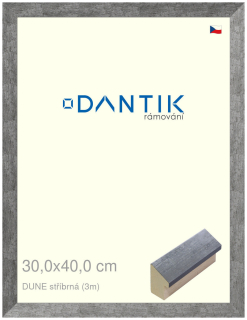 DANTIK rám na obraz 30x40 | DUNE stříbrná (Plexi Čiré)