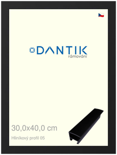DANTIK rám na obraz 30x40 | ALU Černá matná (Plexi Čiré)