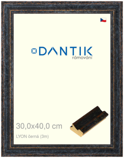 DANTIK rám na obraz 30x40 | LYON černá (Plexi Čiré)