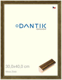 DANTIK rám na obraz 30x40 | Mosa zlatá (Plexi Čiré)