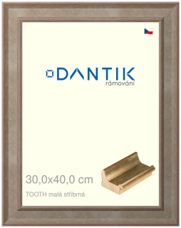 DANTIK rám na obraz 30x40 | TOOTH malá stříbrná (Plexi Čiré)