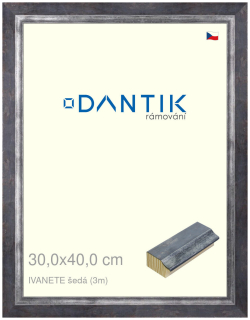 DANTIK rám na obraz 30x40 | IVANETE šedá (Plexi Čiré)