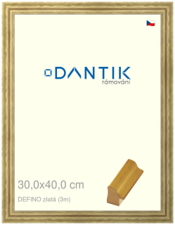 DANTIK rám na obraz 30x40 | DELFINO zlatá (Plexi Čiré)