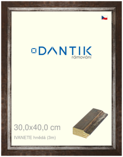 DANTIK rám na obraz 30x40 | IVANETE hnědá (Plexi Čiré)
