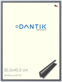 DANTIK rám na obraz 30x40 | ALU Platina matná (Plexi Čiré)
