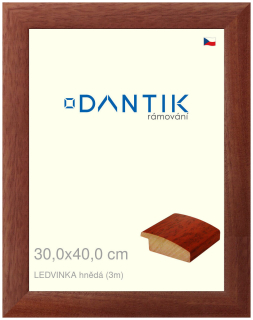 DANTIK rám na obraz 30x40 | LEDVINKA hnědá (Plexi Čiré)