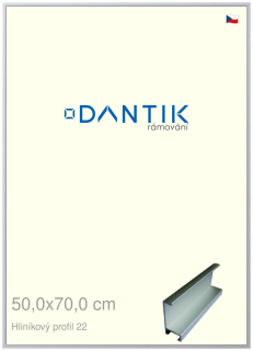 DANTIK rám na obraz 50x70 | ALU Stříbrná matná (Plexi Čiré)
