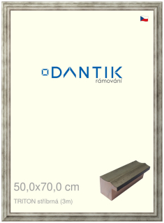 DANTIK rám na obraz 50x70 | TRITON stříbrná (Plexi Čiré)