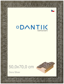 DANTIK rám na obraz 50x70 | Dora Silver (Plexi Čiré)