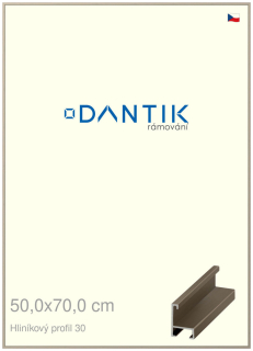 DANTIK rám na obraz 50x70 | ALU champagne (Plexi Čiré)