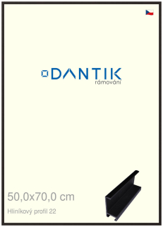 DANTIK rám na obraz 50x70 | ALU Černá matná (Plexi Čiré)