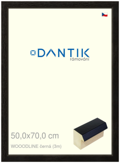 DANTIK rám na obraz 50x70 | WOODLINE černá (Plexi Čiré)