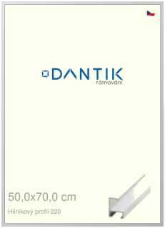 DANTIK rám na obraz 50x70 | ALU Bílá matná (Plexi Čiré)