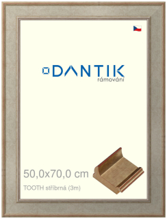 DANTIK rám na obraz 50x70 | TOOTH stříbrná (Plexi Čiré)