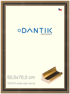 DANTIK rám na obraz 50x70 | TOOTH malá zlato černá (Plexi Čiré)