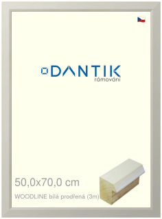 DANTIK rám na obraz 50x70 | WOODLINE bílá prodřená (Plexi Čiré)