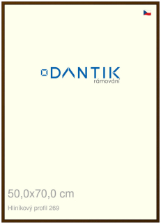 DANTIK rám na obraz 50x70 | ALU Hnědá umbra broušená (Plexi Čiré)