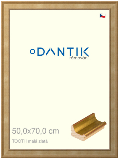 DANTIK rám na obraz 50x70 | TOOTH malá zlatá (Plexi Čiré)