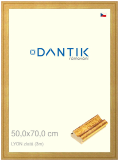 DANTIK rám na obraz 50x70 | LYON zlatá (Plexi Čiré)