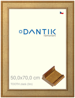 DANTIK rám na obraz 50x70 | TOOTH zlatá (Plexi Čiré)
