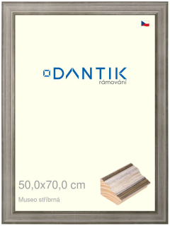 DANTIK rám na obraz 50x70 | Museo stříbrná (Plexi Čiré)