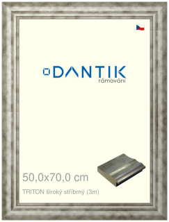 DANTIK rám na obraz 50x70 | TRITON široký stříbrný (Plexi Čiré)