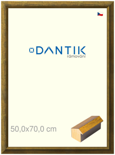 DANTIK rám na obraz 50x70 | Forgia Gold (Plexi Čiré)
