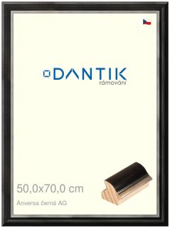 DANTIK rám na obraz 50x70 | ANIVERSA černá AG (Plexi Čiré)