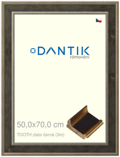 DANTIK rám na obraz 50x70 | TOOTH zlato černá (Plexi Čiré)