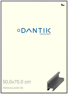 DANTIK rám na obraz 50x70 | ALU Dýha barevná šedá tmavá (Plexi Čiré)