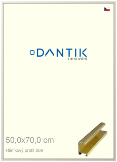 DANTIK rám na obraz 50x70 | ALU Zlatá lesklá (Plexi Čiré)