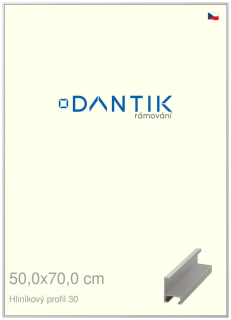 DANTIK rám na obraz 50x70 | ALU Stříbrná matná (Plexi Čiré)