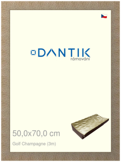 DANTIK rám na obraz 50x70 | Golf champagne (Plexi Čiré)