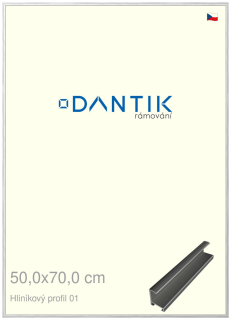 DANTIK rám na obraz 50x70 | ALU Stříbrná lesklá (Plexi Čiré)