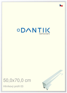 DANTIK rám na obraz 50x70 | ALU Bílá matná (Plexi Čiré)