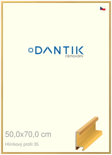 DANTIK rám na obraz 50x70 | ALU Dýha barevná žlutá (Plexi Čiré)