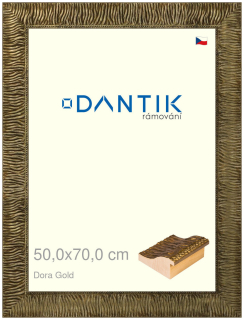 DANTIK rám na obraz 50x70 | Dora Gold (Plexi Čiré)