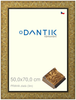 DANTIK rám na obraz 50x70 | PRAHA zlatá (Plexi Čiré)