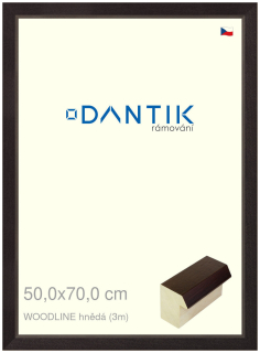 DANTIK rám na obraz 50x70 | WOODLINE hnědá (Plexi Čiré)