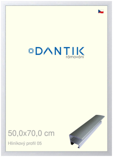 DANTIK rám na obraz 50x70 | ALU Stříbrná matná (Plexi Čiré)