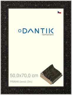 DANTIK rám na obraz 50x70 | PRAHA černá (Plexi Čiré)