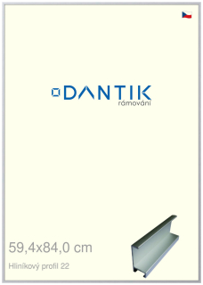 DANTIK rám na obraz 59,4x84 | ALU Stříbrná matná (Plexi Čiré)
