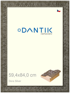 DANTIK rám na obraz 59,4x84 | Dora Silver (Plexi Čiré)