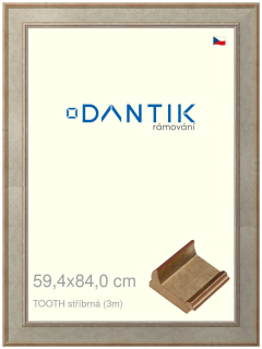DANTIK rám na obraz 59,4x84 | TOOTH stříbrná (Plexi Čiré)