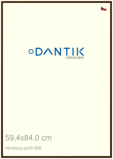 DANTIK rám na obraz 59,4x84 | ALU Hnědá umbra broušená (Plexi Čiré)