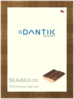 DANTIK rám na obraz 59,4x84 | TRITON široký zlatý (Plexi Čiré)