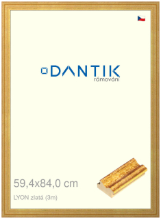 DANTIK rám na obraz 59,4x84 | LYON zlatá (Plexi Čiré)